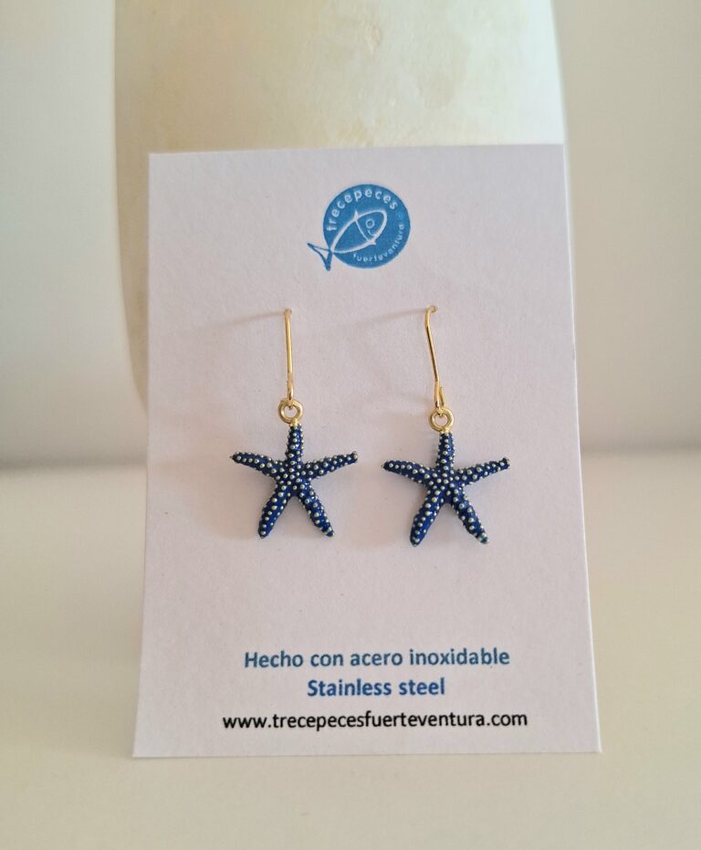 Pendientes de estrella de mar de acero inoxidable, diseño exclusivo inspirado en Fuerteventura.